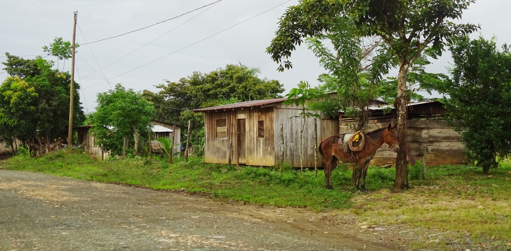 Nicaragua Electrifica Zonas Rurales Pv Magazine Latin America